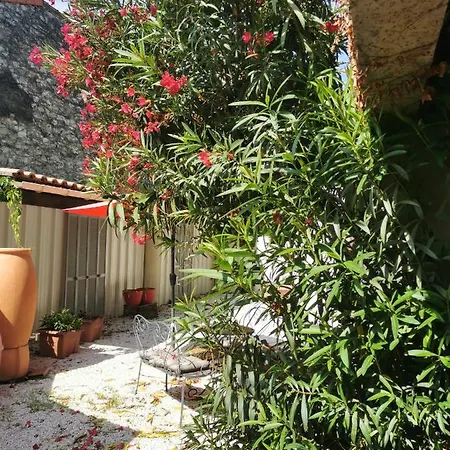 Les De Marie Appartement Avignon